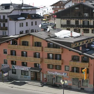 Edelweiss Passo del Tonale